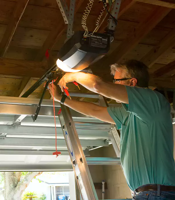 Wayne Dalton Garage Door Opener Repair in Whitney, NV