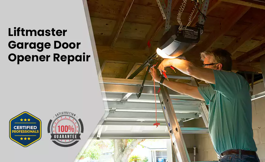 LiftMaster Garage Door Opener Repair in Whitney, NV